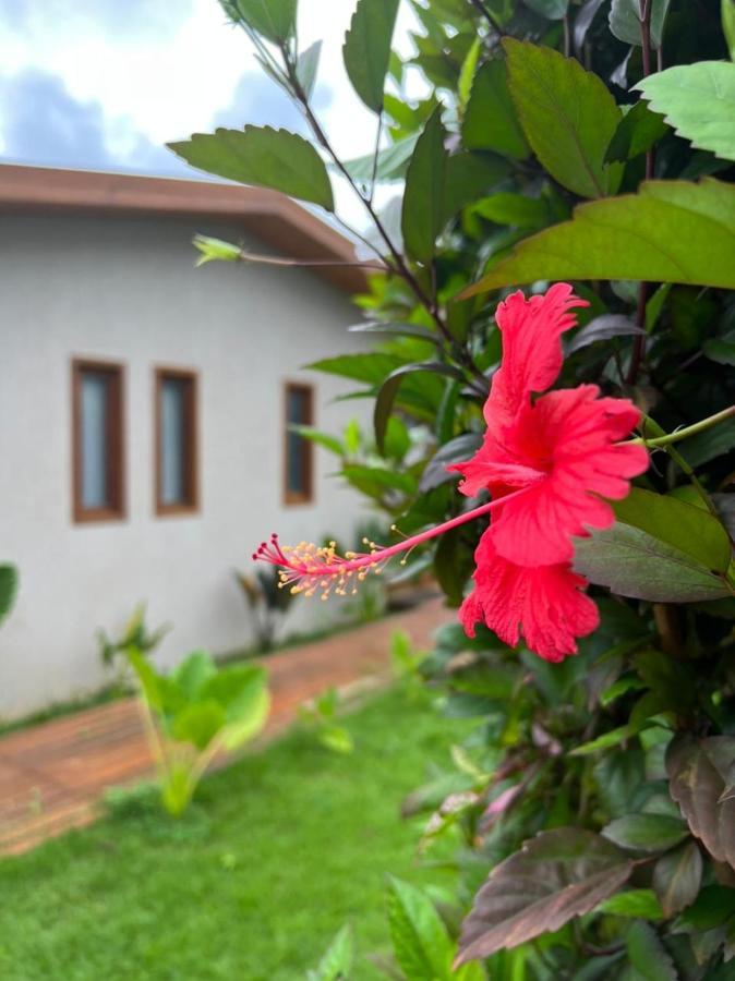 Pousada Maresia Fernando de Noronha Exterior foto
